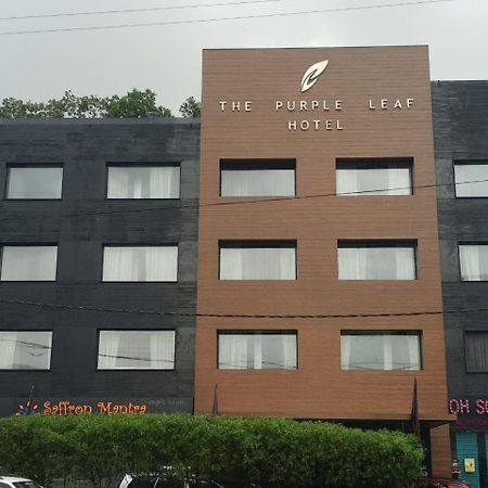 The Purple Leaf Hotels Haydarabad Dış mekan fotoğraf