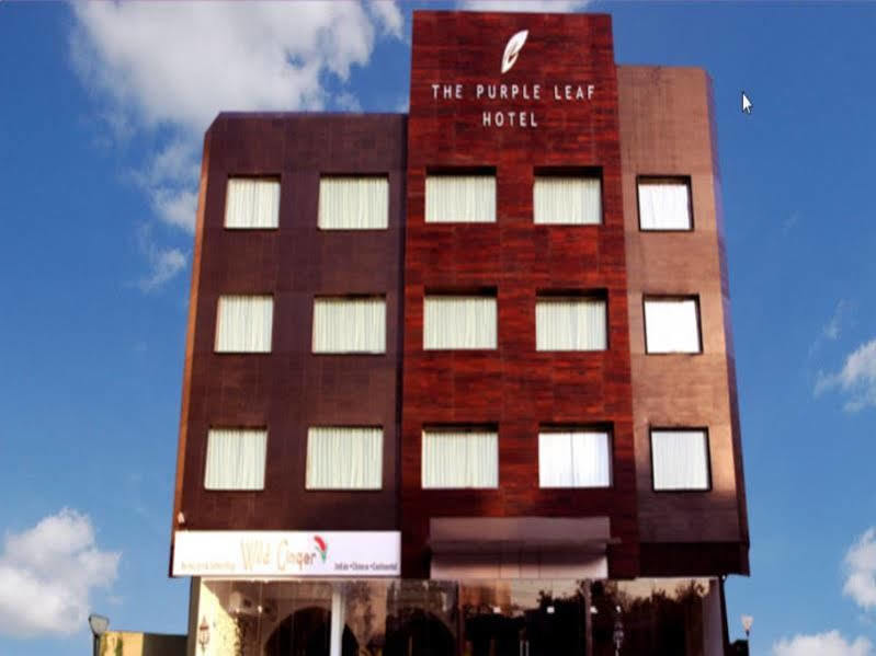The Purple Leaf Hotels Haydarabad Dış mekan fotoğraf